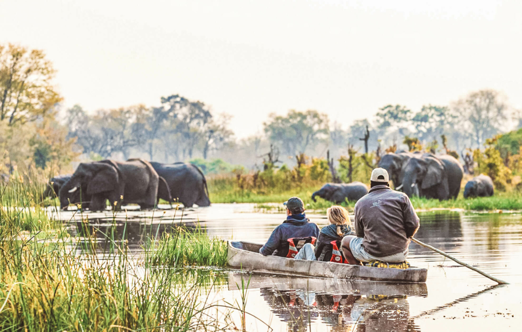 mokoro-okavango-2-steven-stockhall-sized-filter